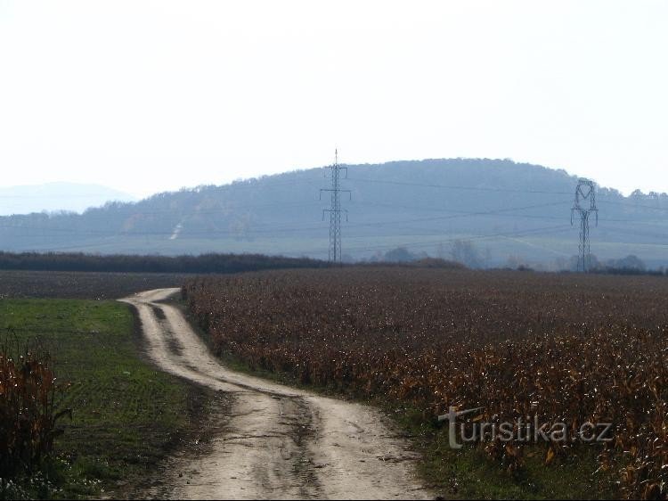 Salaš-heuvel vanaf de weg naar Suchdol nad Odrou