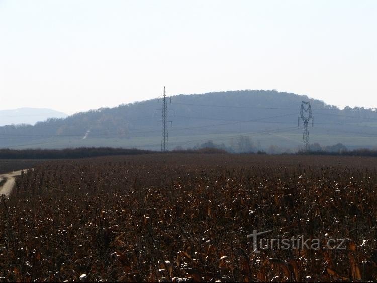 Colline de Salaš depuis la route de Suchdol nad Odrou