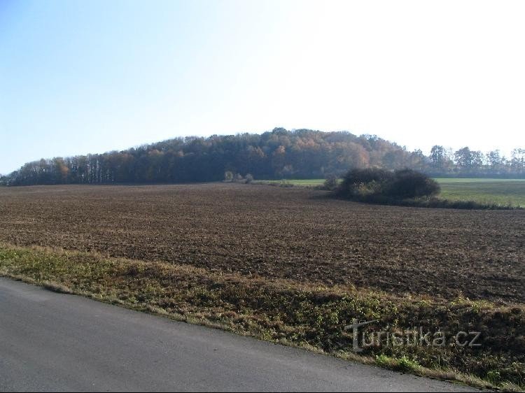 Salaš-kukkula tieltä Bernartice nad Odrouhun