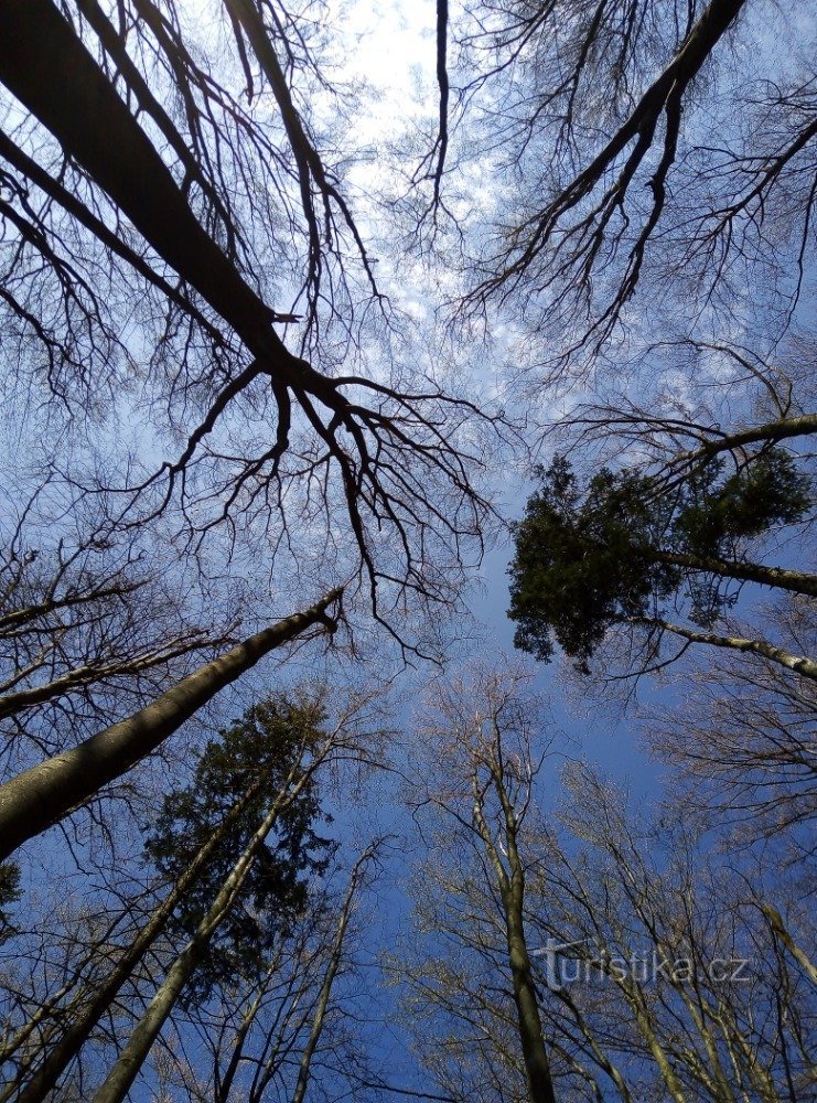 Hügel, Aussichten und Burgruinen sind etwas anders (nicht nur Lužná, Nový hrad und Bohdíkov)