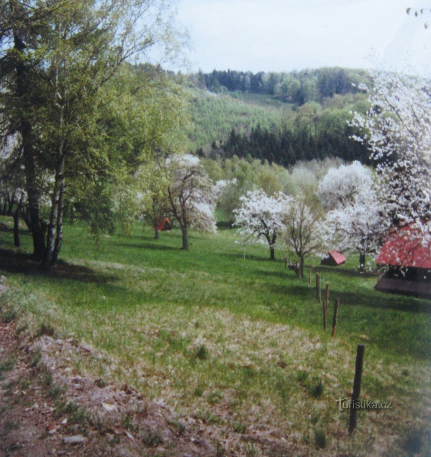 Počinje 2004