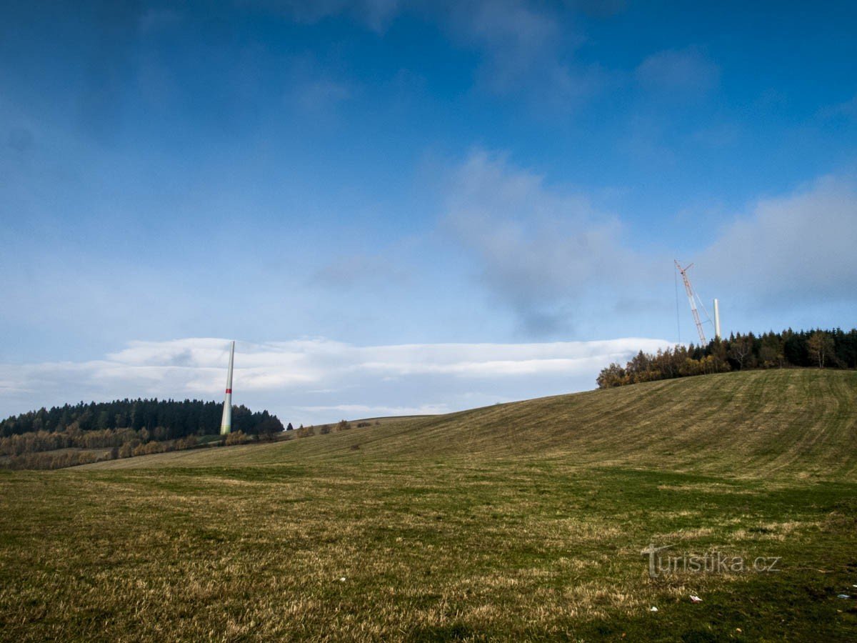 Brennnessel - zwei Windräder