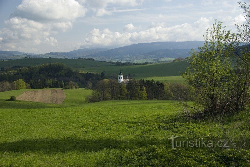 Nokkonen Lužnásta