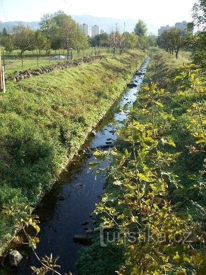 Koprivnička: vista do riacho