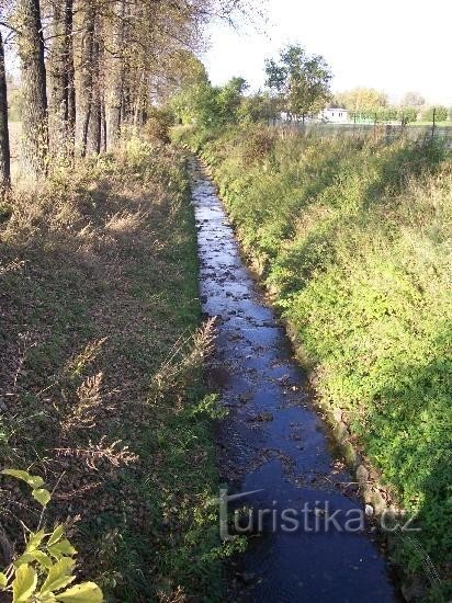 Koprivnička: Pogled na potok