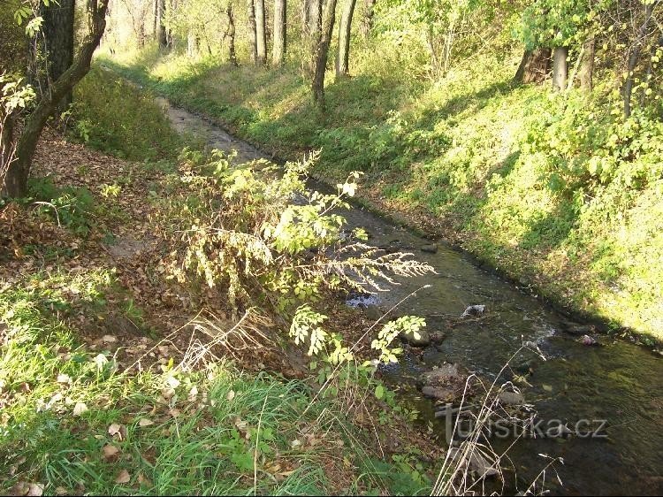 Přivnička: 浄水場から流れ出る小川の眺め