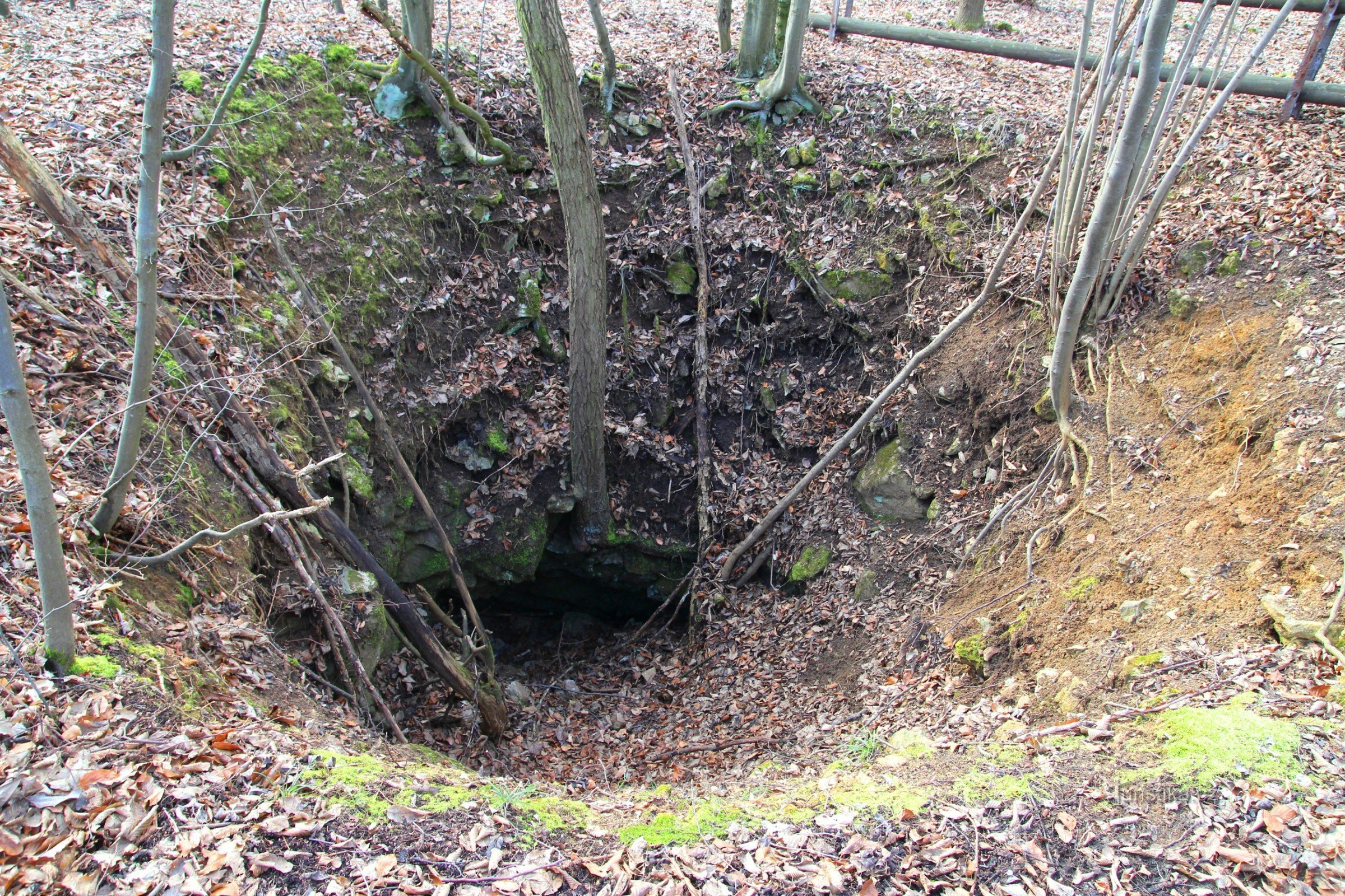 Coral sinkhole in its present form