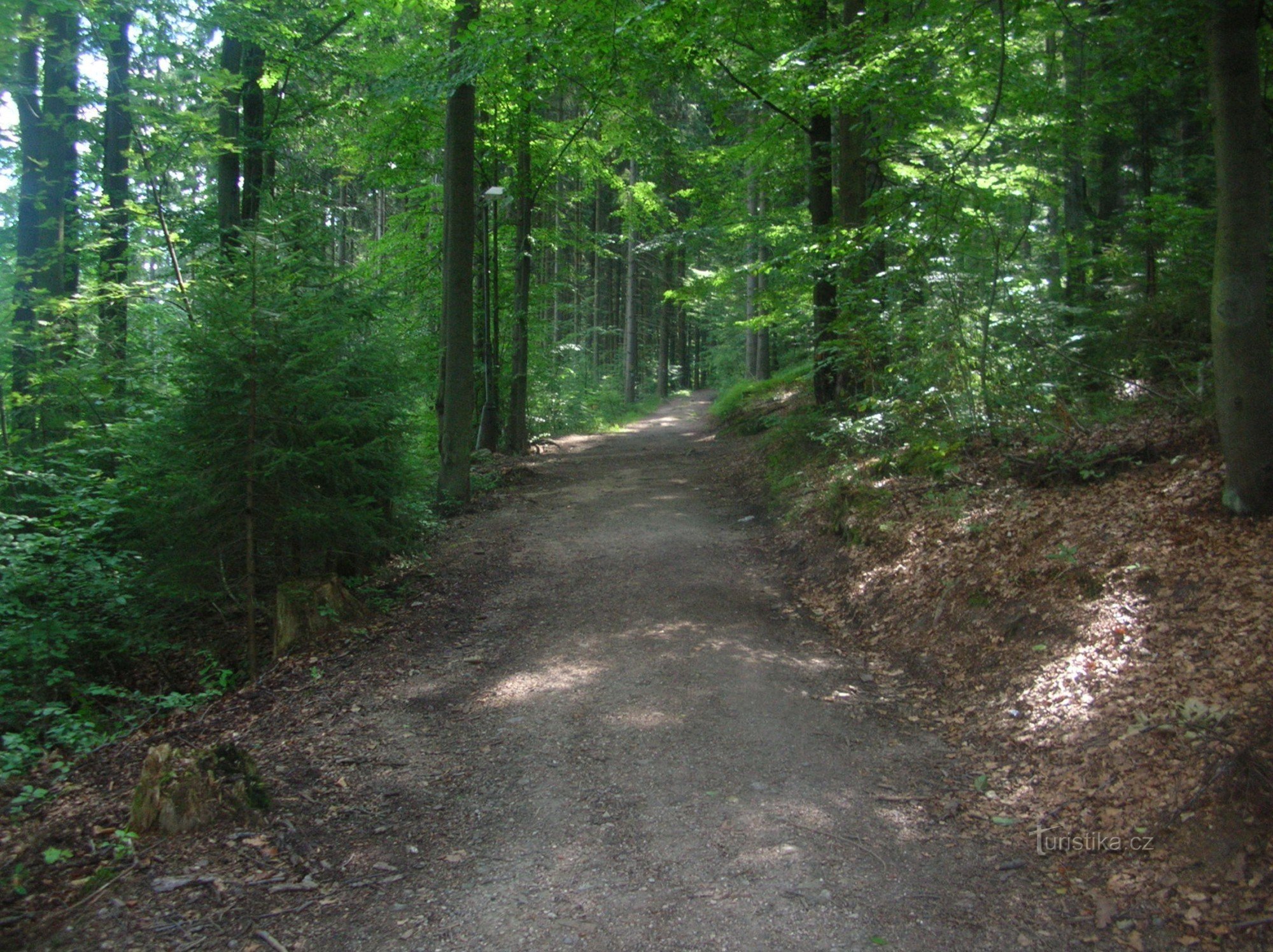 Kořenov - Aussichtspunkt Štěpánka - Harrachov