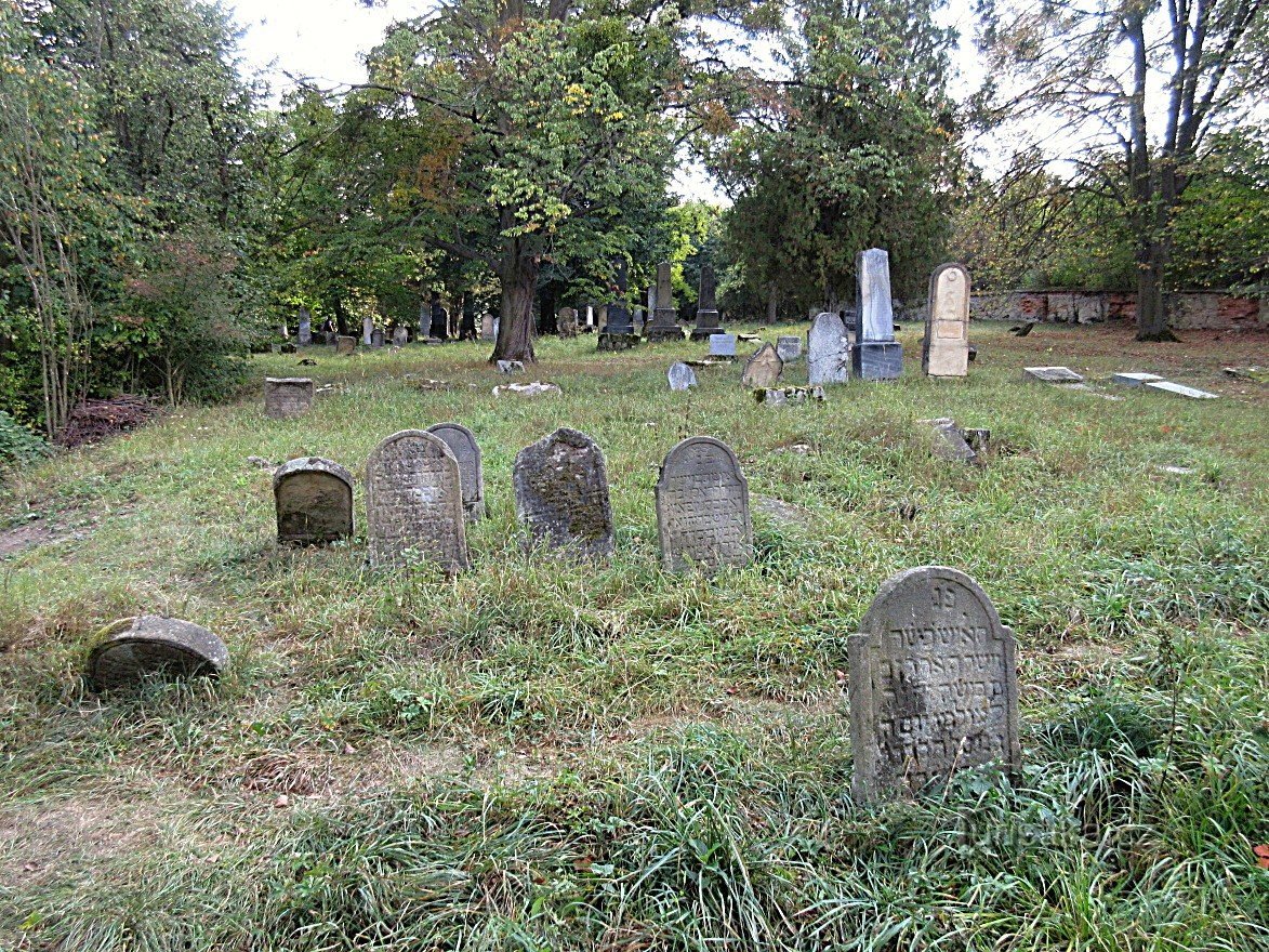 Koryčany – judisk kyrkogård