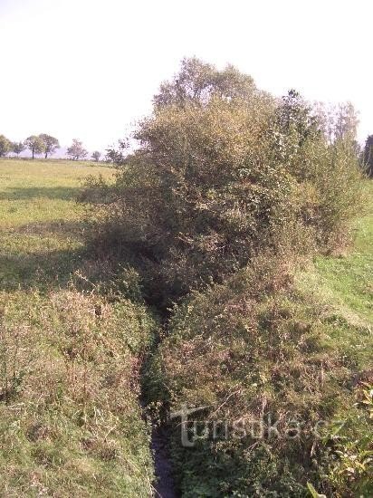 Lecho del río Jasenka debajo de Janovice, vista río arriba