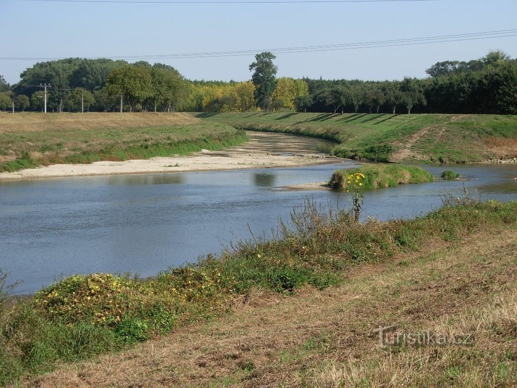 De Morava rivierbedding met een zijrivier