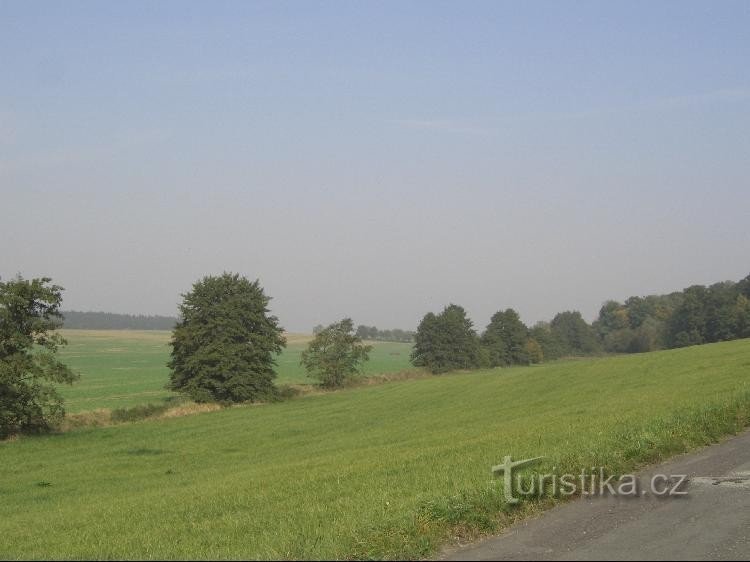 The stream bed between Palačov and Poruba