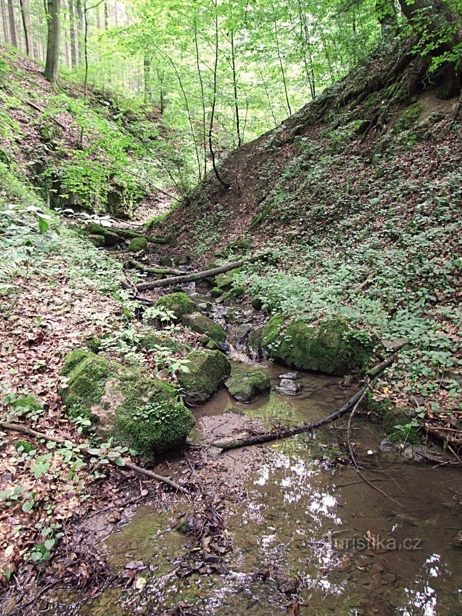 Русло водоспаду Самеч