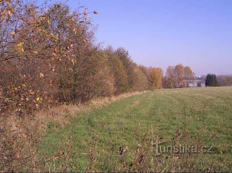 flodbädd från Rovná-skogen mot Olešná