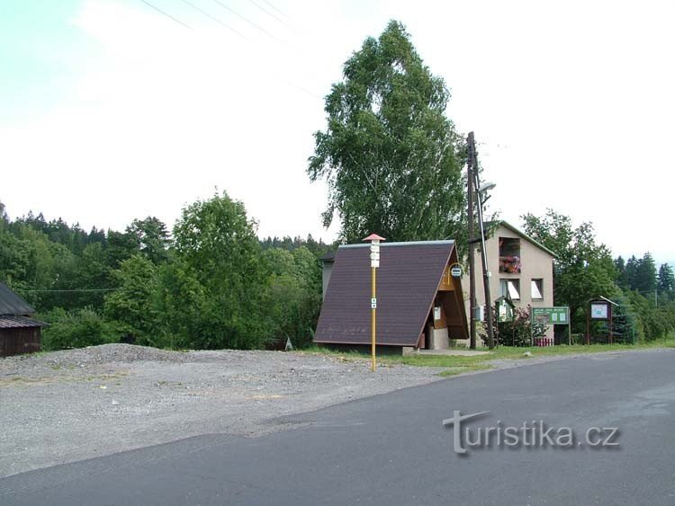 Basketbal velden