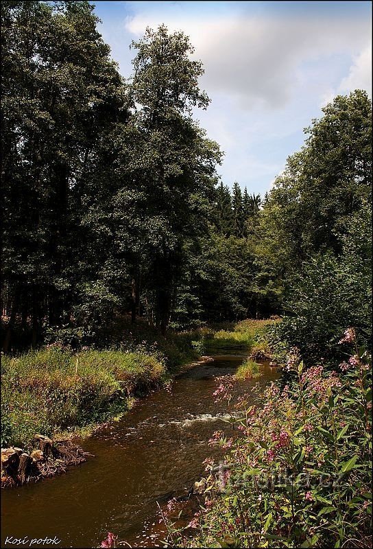 Faucher le ruisseau