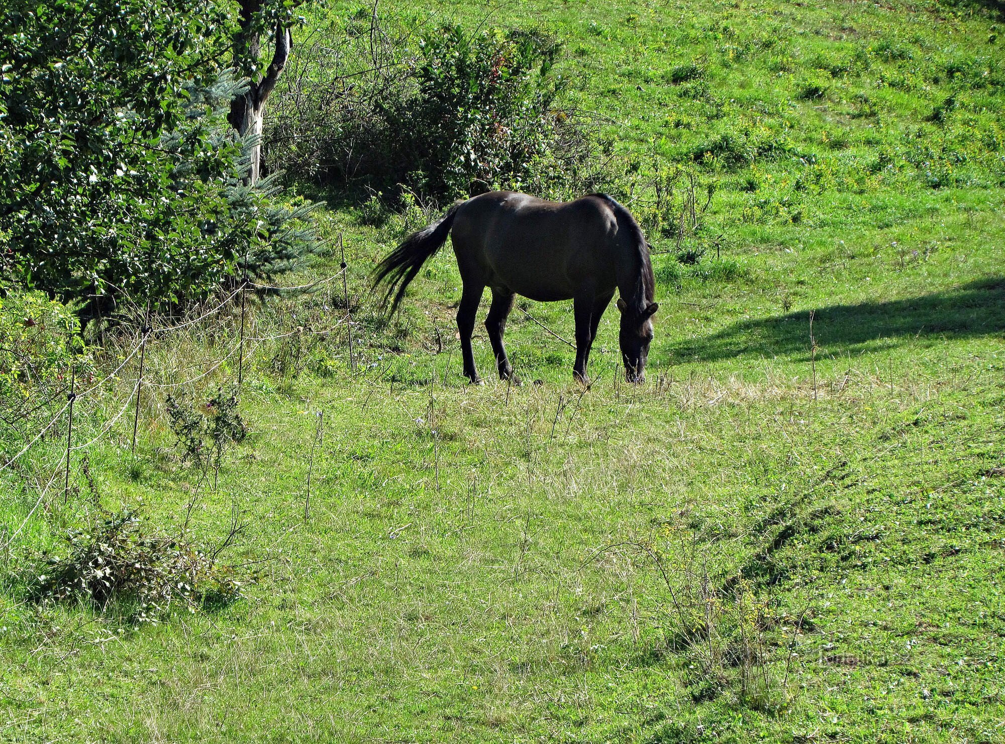 Paniers - attractions du village