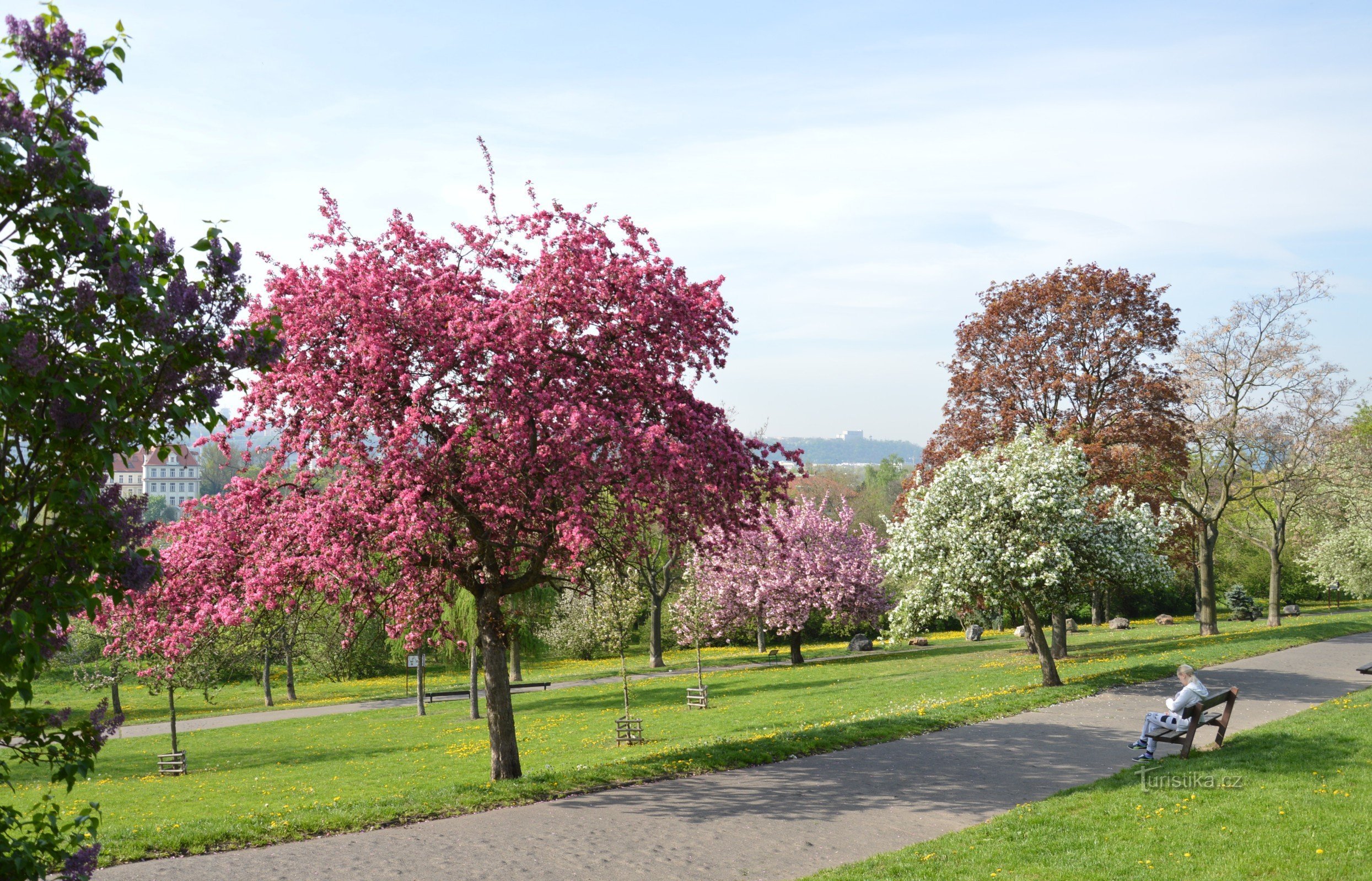 Košinka - im Park