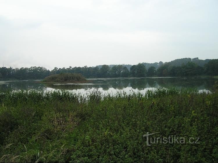 Коштяловицький ставок: Košťálovický stav