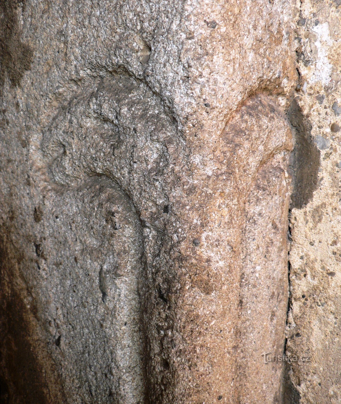 iglesia de st. Kateřiny - una serpiente que protege la entrada lateral