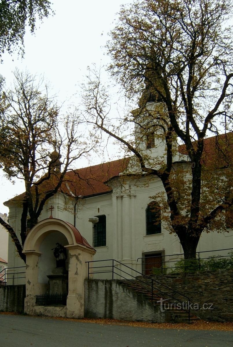 Kościół św. Jaskółka oknówka
