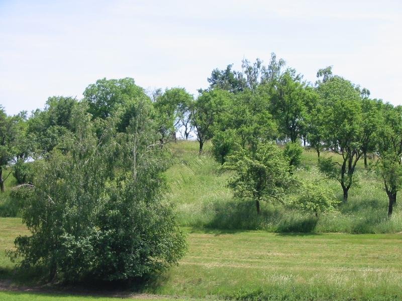 Kostelec u Holešova