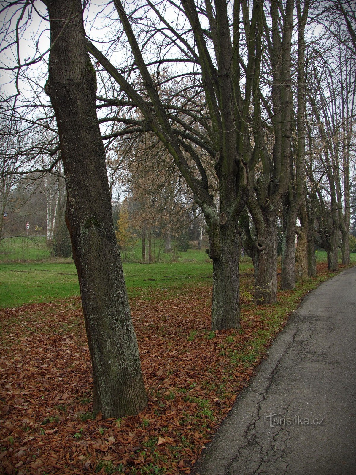 Kostelec u Zlín - 古いスパ