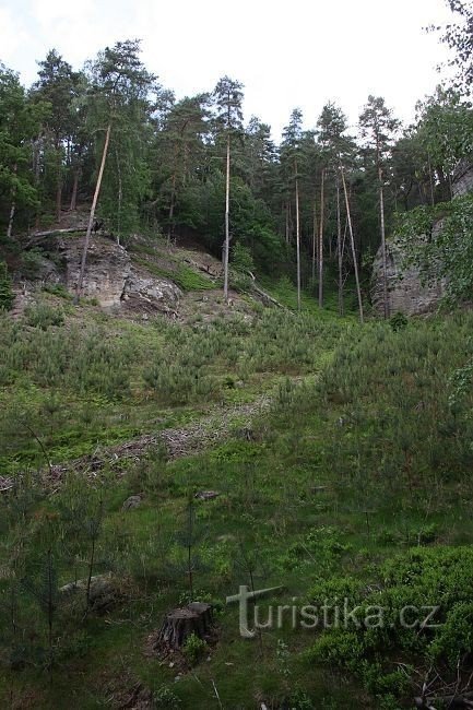 Foreste di Kostelecko