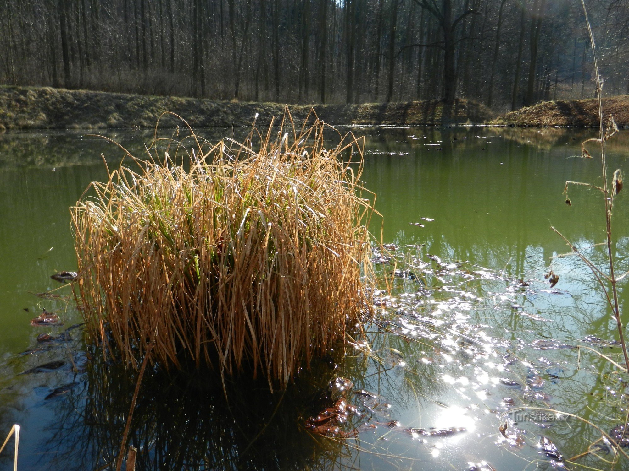 Kostomlaty under Milešovka