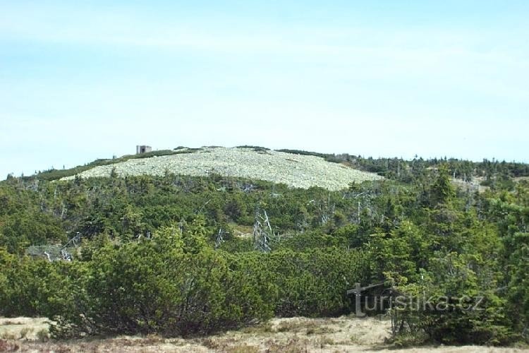 Sillín de caldera