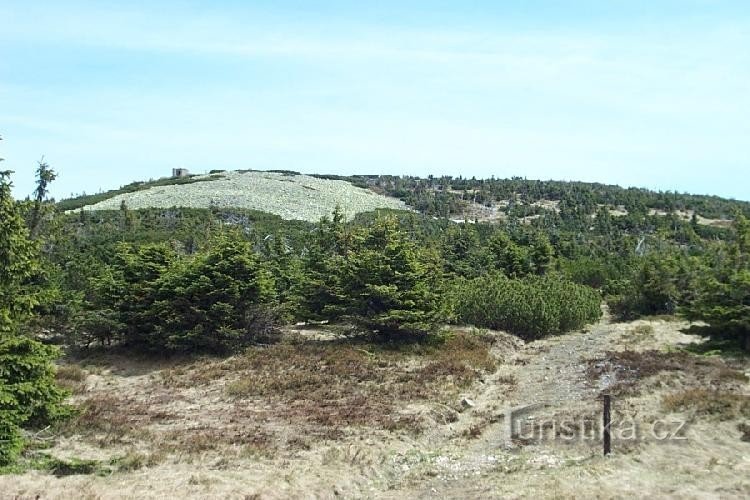 Sillín de caldera