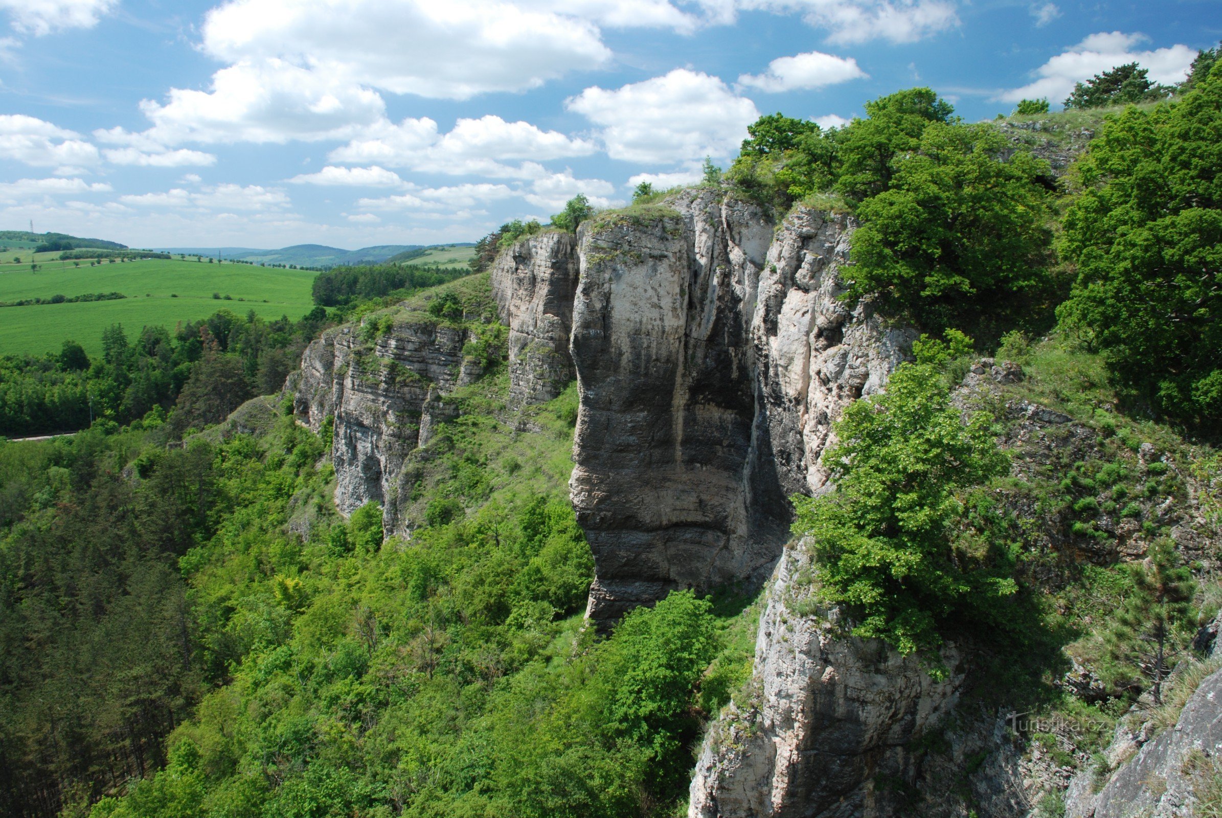 Kotýz