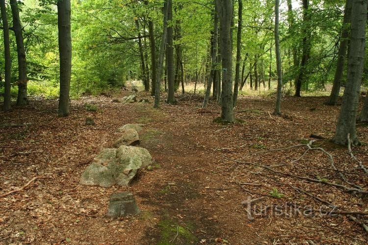 Rangées de pierres de Kounov