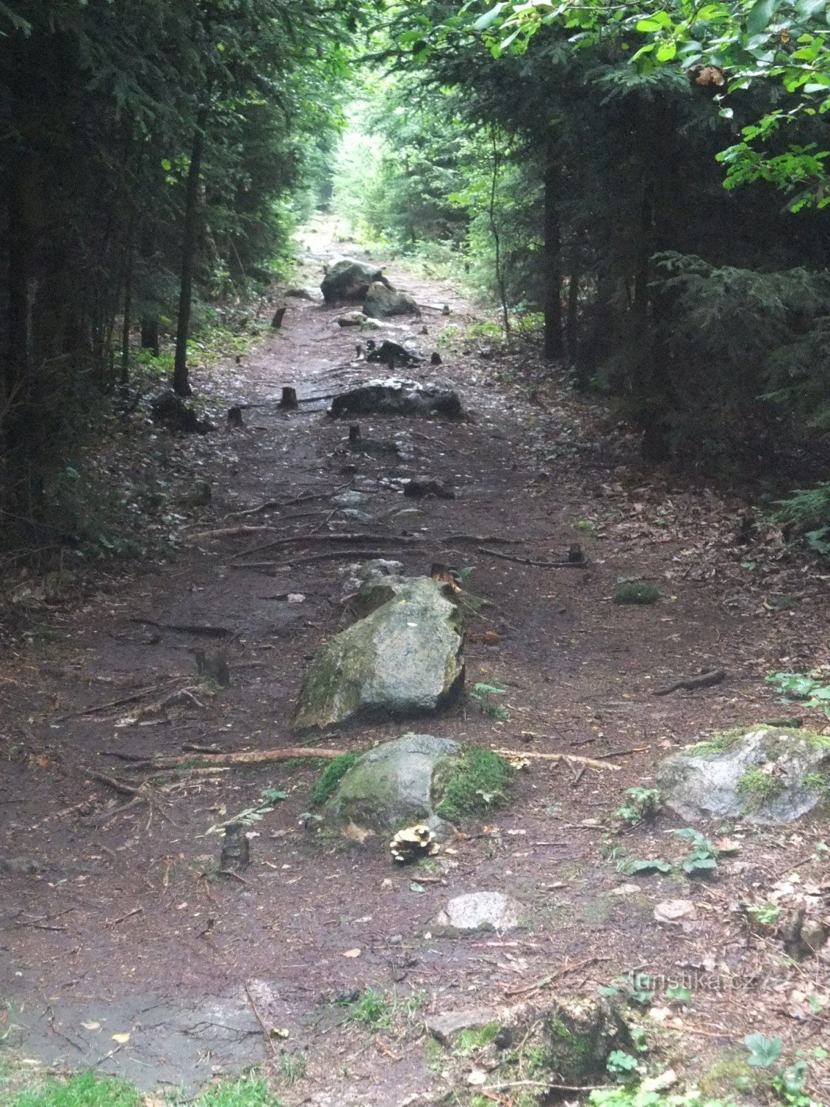 Rangées de pierres de Kounov