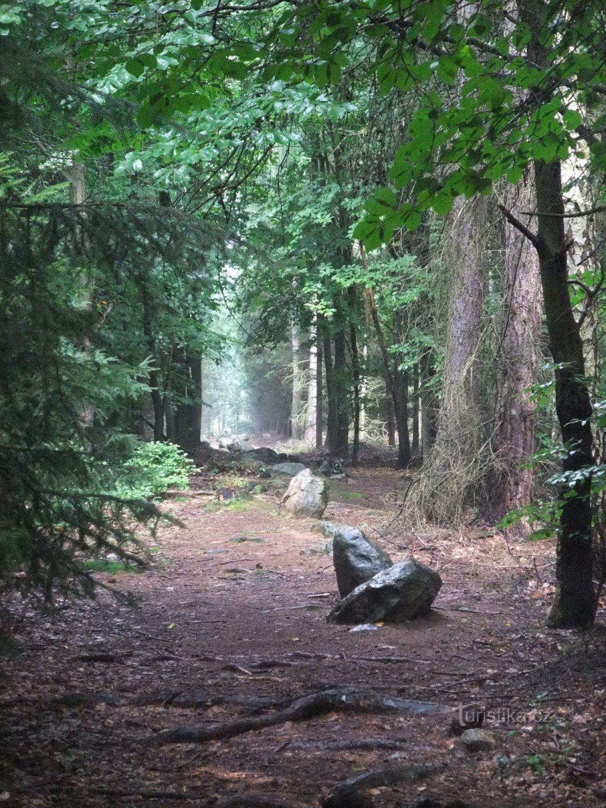 Kounov-Steinreihen