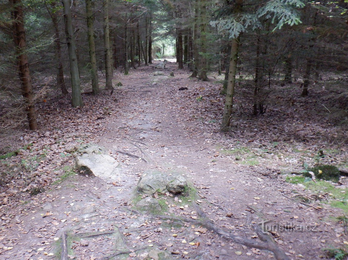 Kounov stone rows - the most mysterious place in our country even after 87 years