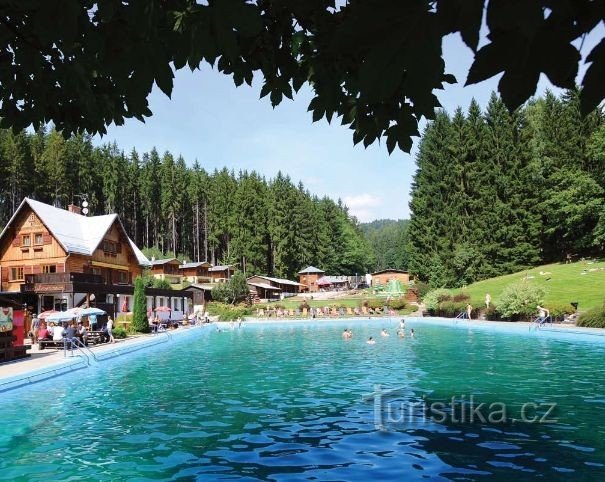 Piscine de la forêt de Dolní Sejfy