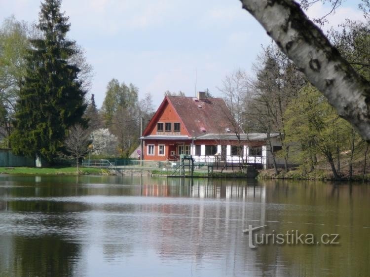 swimmingpool ved Rokytka i Říčany: naturlig swimmingpool, restaurant på billedet