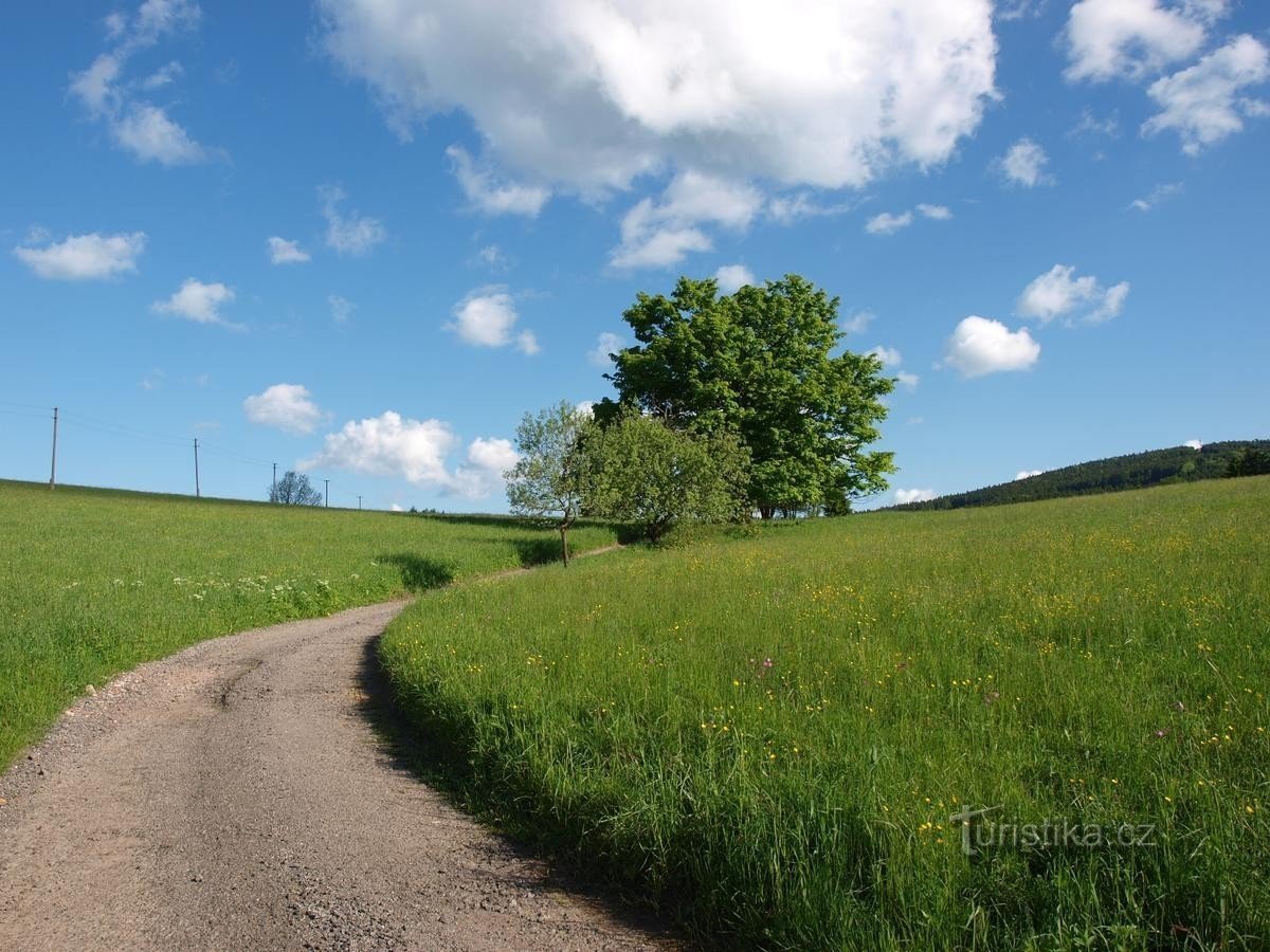 A une courte distance de Říček à Orlické hory