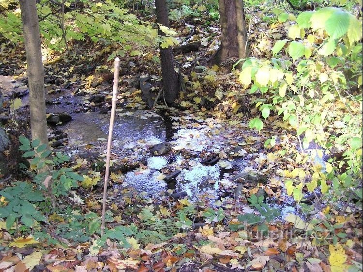 Koutecký potok: Potok