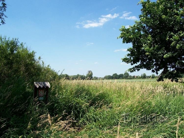 Koutské och Zábřežské loky: Koutské loky - naturreservat