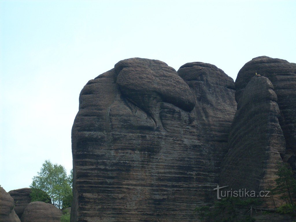 Blacksmith's Ravine-Gehirn