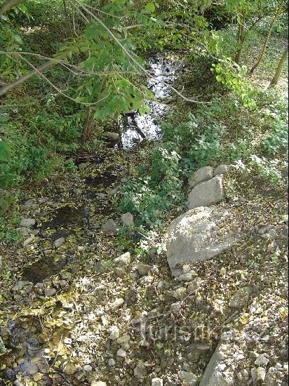 Kovářovský potok: Pârâu