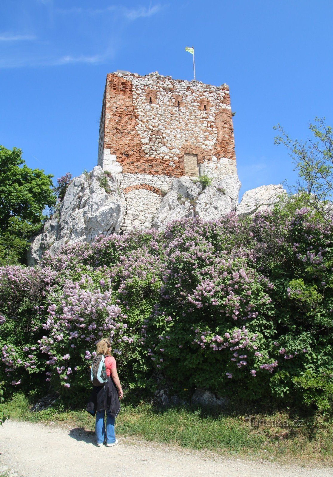 Castillo de cabras con torre de observación