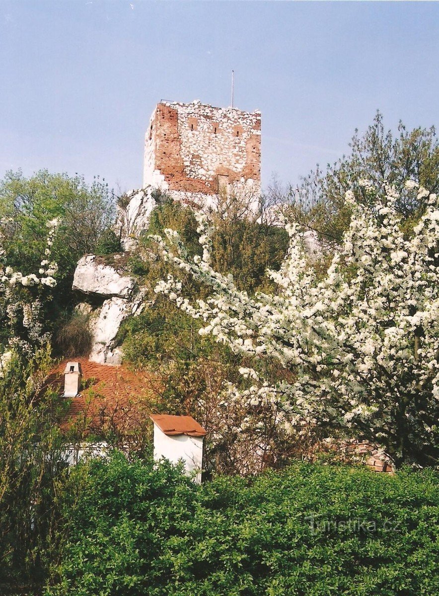 Castillo de cabras con torre de observación
