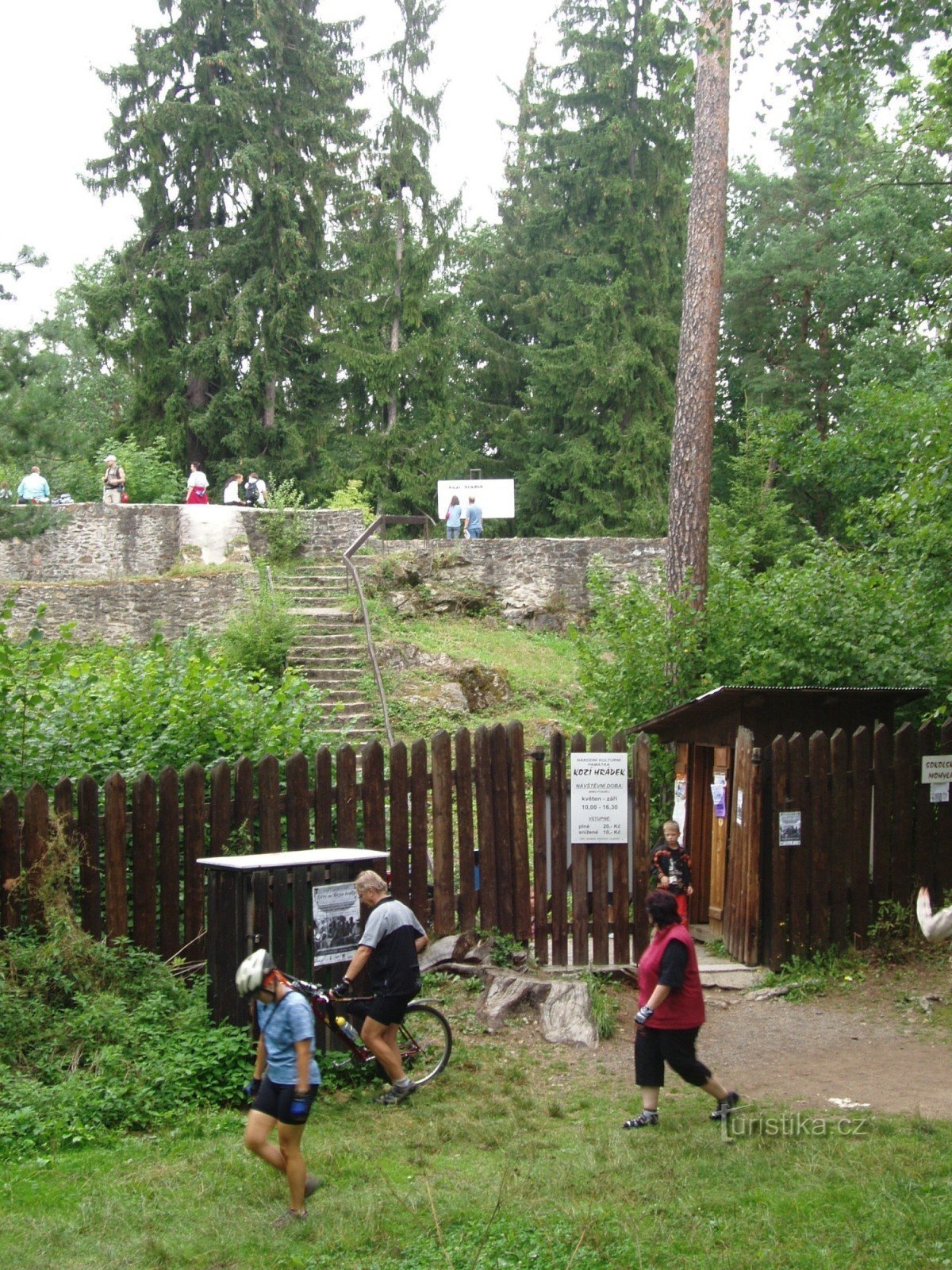 Castelo de cabra perto de Sezimova Ústí