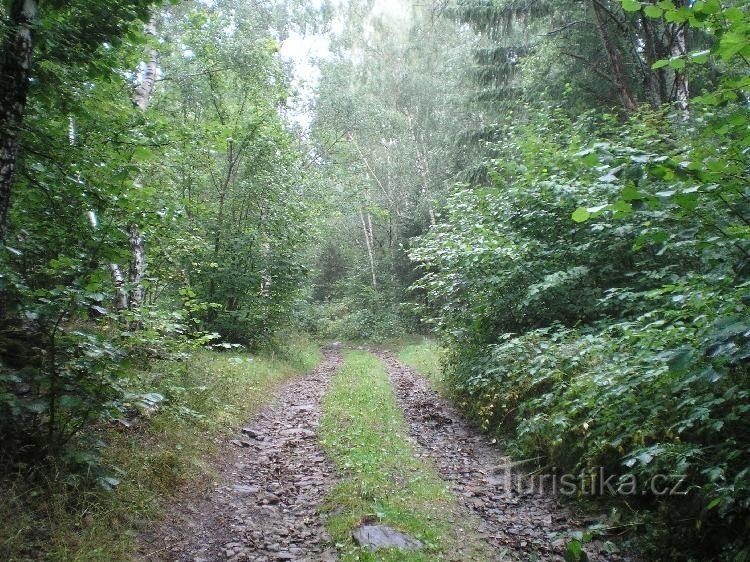 Kozí Hřbety.: Cesta na Kozí Hřbety ze Svojše.