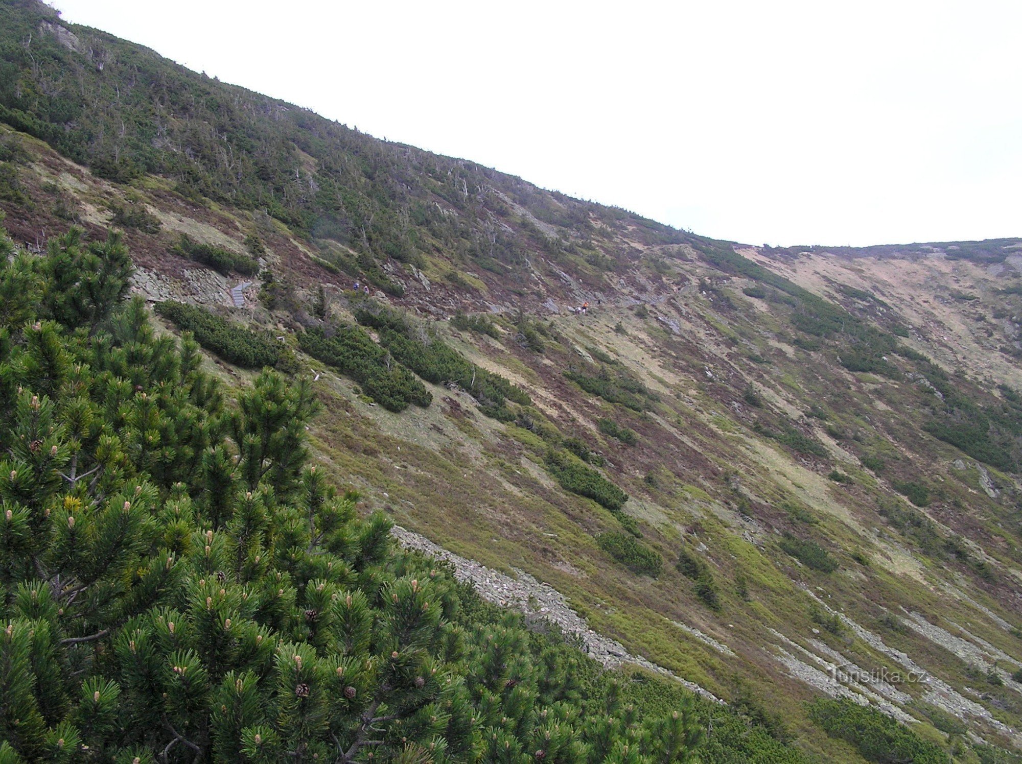 Lomos de cabra - South Slope (mayo de 2009)