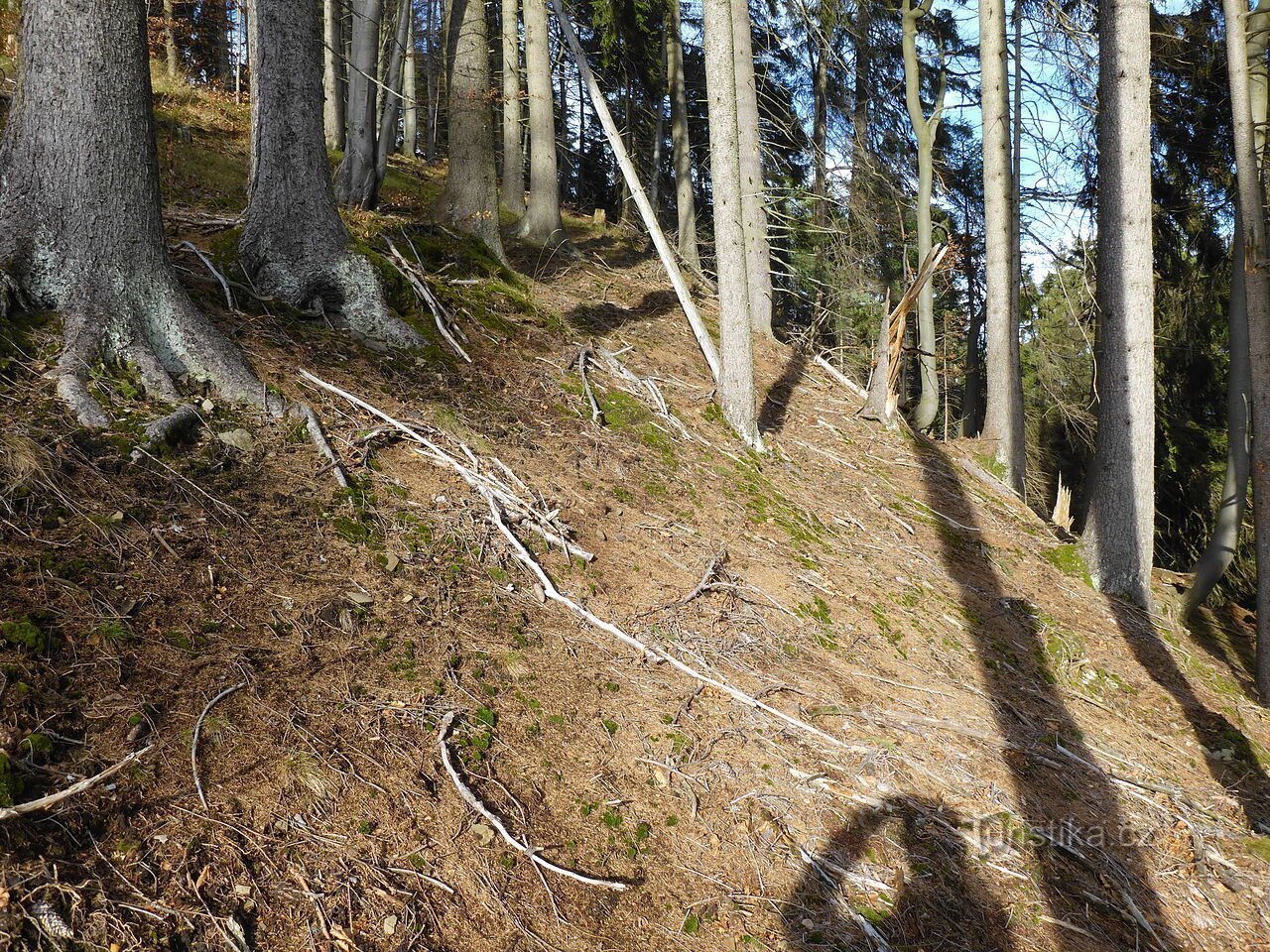 Getryggar - först med lite hån och senare med STOR RESPEKT.