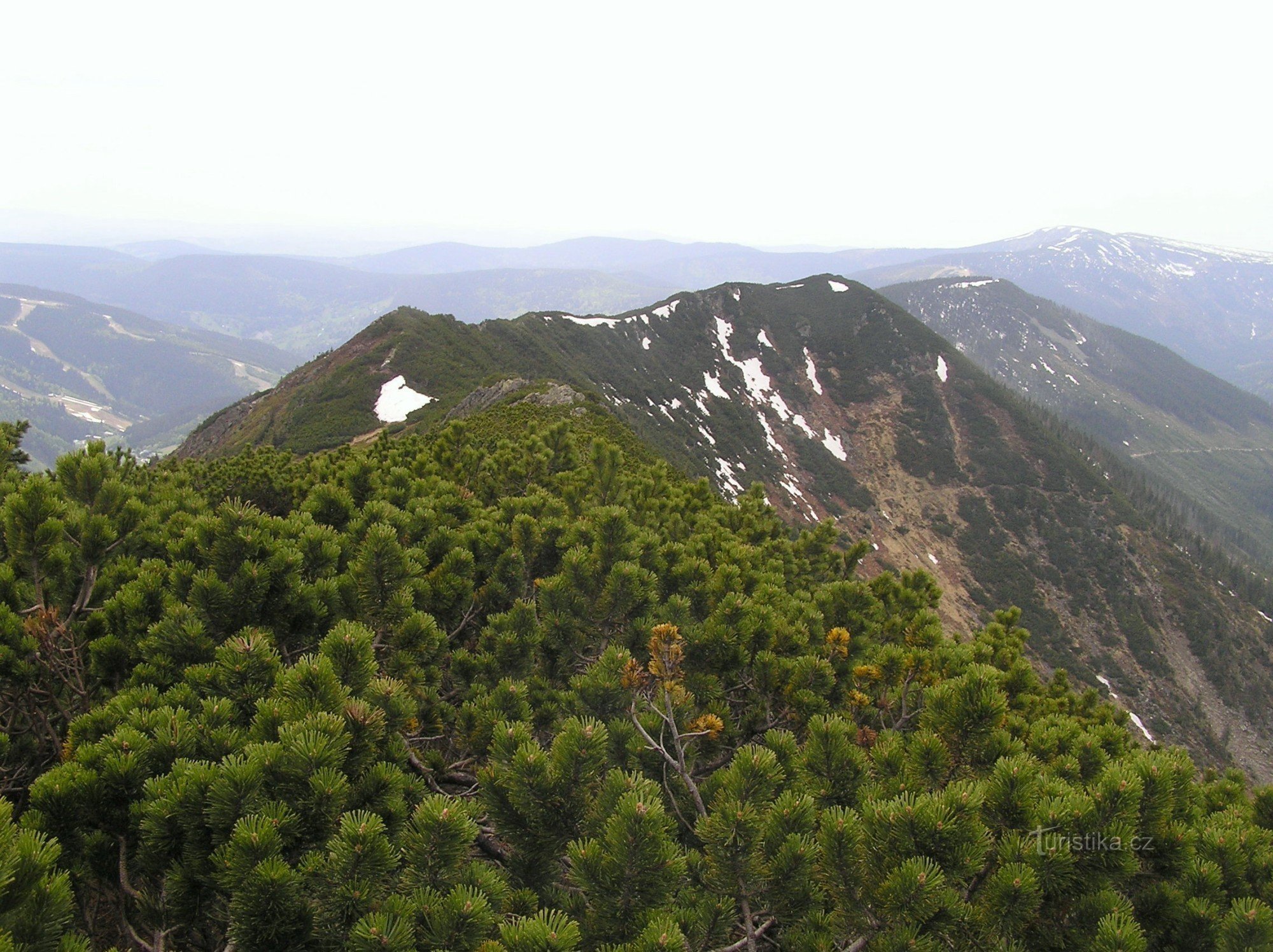 Goat backs from the Krakonoš viewpoint (May 2009)